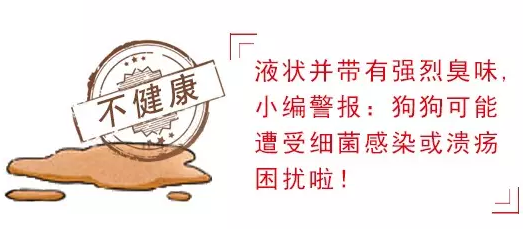 幼犬狗糧什么牌子好？如何從粑粑分辨幼犬健康狀況