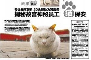 網紅院長單霽翔談故宮的貓：常收到各地寄的貓糧，整個故宮沒有一只老鼠
