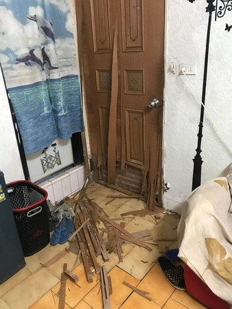 受傷流浪狗被收養后竟拆門跑掉 主人慘遭房東警告：再養就搬走