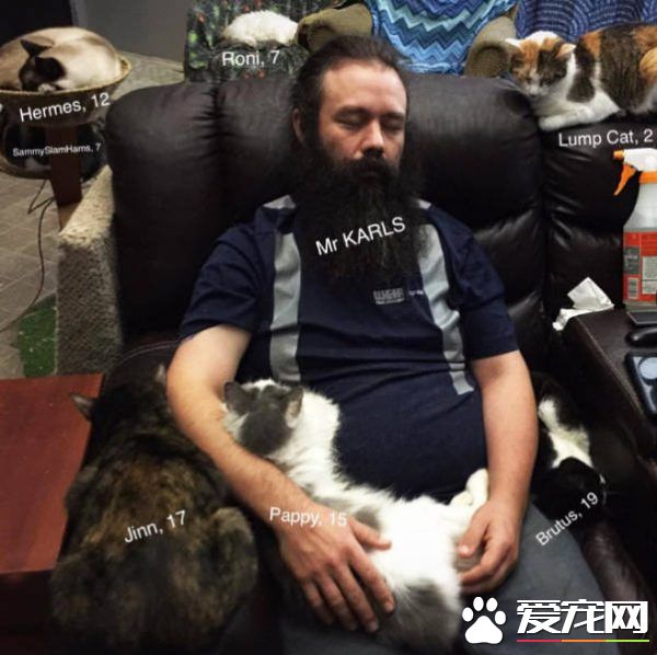 愛貓男子創辦貓咪收容之家 讓老貓們有一個溫暖的家
