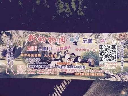 動物園里以狗充狼 網友直呼：能不能不要再欺騙我們的感情了