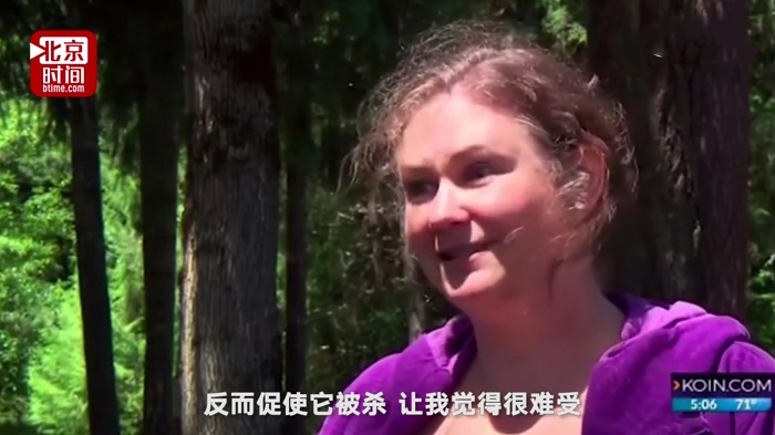黑熊只因和人類過于親密被執行安樂死，到底是誰的錯？