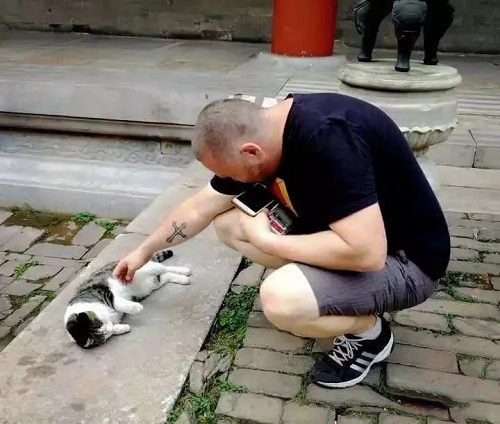 網紅院長單霽翔談故宮的貓：常收到各地寄的貓糧，整個故宮沒有一只老鼠