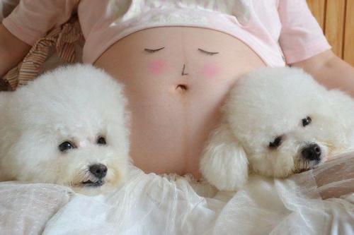 懷孕就把寵物送走？飼養寵物會影響孕婦和胎兒？真正影響的不是寵物而是這些
