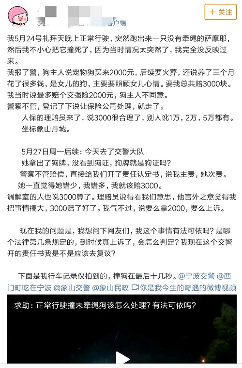 因遛狗未牽狗繩而造成悲劇 事后狗主人要求司機賠償3000元