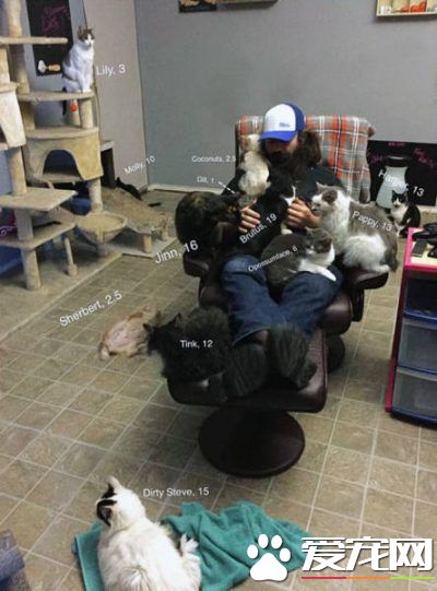 愛貓男子創辦貓咪收容之家 讓老貓們有一個溫暖的家