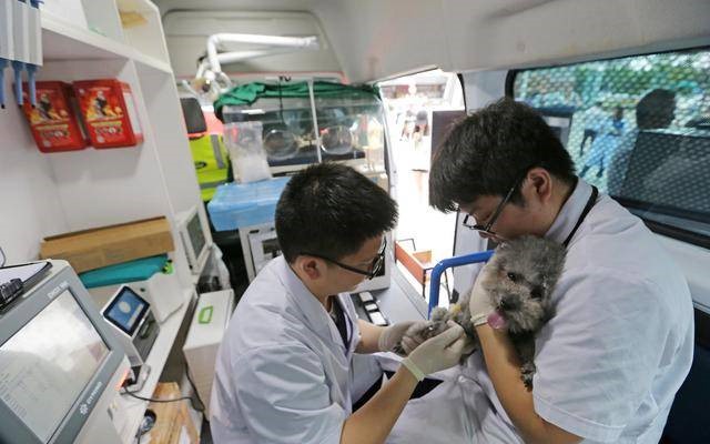 寵物救護車 只有你想不到沒有他們做不到
