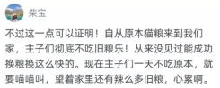 來自數千貓主子的試吃反饋報告 “原本”貓糧火了