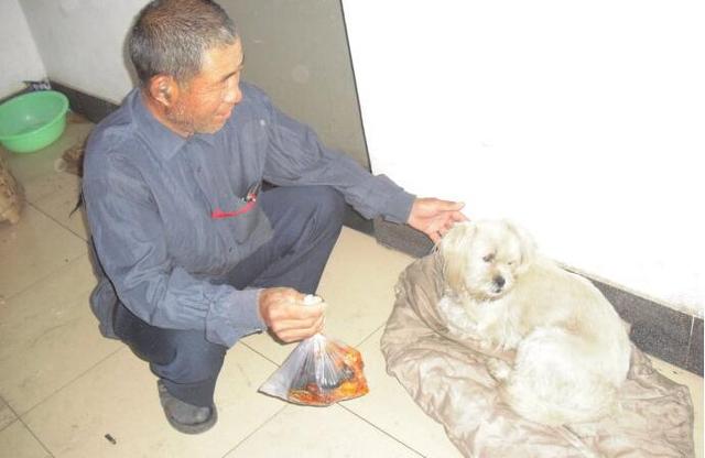 城市最美清潔工遇到流浪小動物會發生一些什么樣的故事呢？
