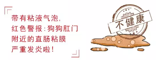 幼犬狗糧什么牌子好？如何從粑粑分辨幼犬健康狀況