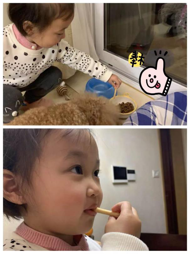 醇粹人寵同食-芝士脆是有多美味？狗狗和鏟屎官搶著吃!