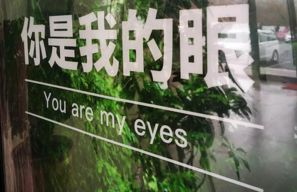 導盲犬：其實我也想做一只被人類寵愛的狗狗 但是我有更偉大的使命