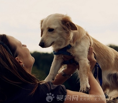 我是這樣教小狗狗的