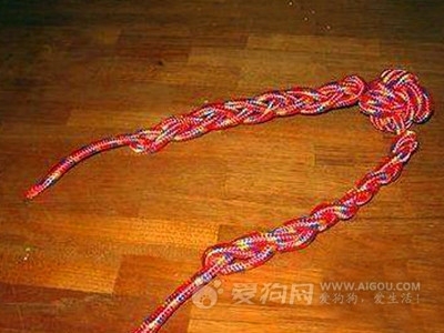 訓練狗狗跳高的方法,DIY狗狗拉扯玩具