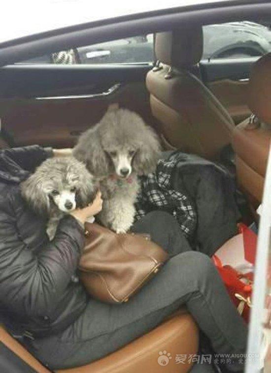 男子落下鑰匙被鎖車外