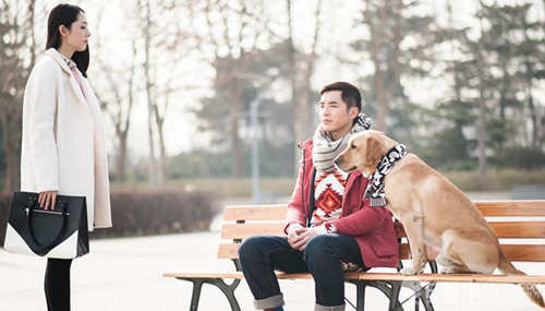 巴吉度獵犬和拉布拉多哪個聰明,如何訓練拉布拉多