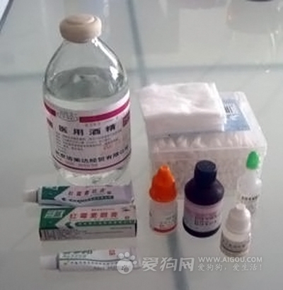 外用藥,讓狗狗跟著你走