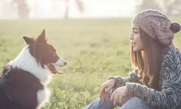 訓犬不可以看小狗的雙眼？錯，連狗的雙眼都不要看怎么訓練