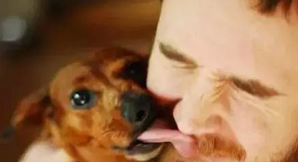 狗子對你有好感的主要表現有什么？