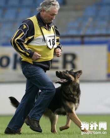 訓犬的正確方法