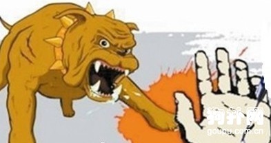 狂犬病的三種傳播途徑及癥狀表現