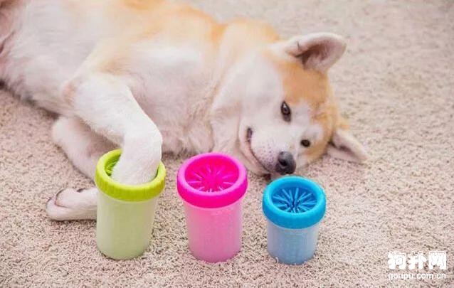 狗狗的小泥爪清理費勁?給狗狗洗腳的神器推薦