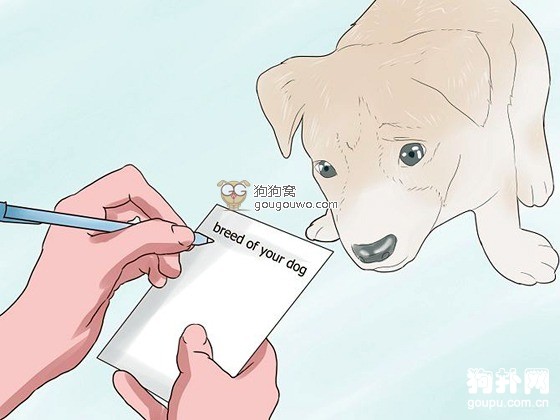 怎么訓練狗狗大小便- 狗狗大小便訓練全攻略