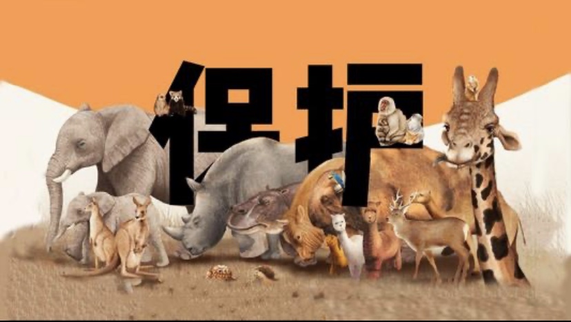 藤縣三男子違法捕捉野生動物，終究自食其果。