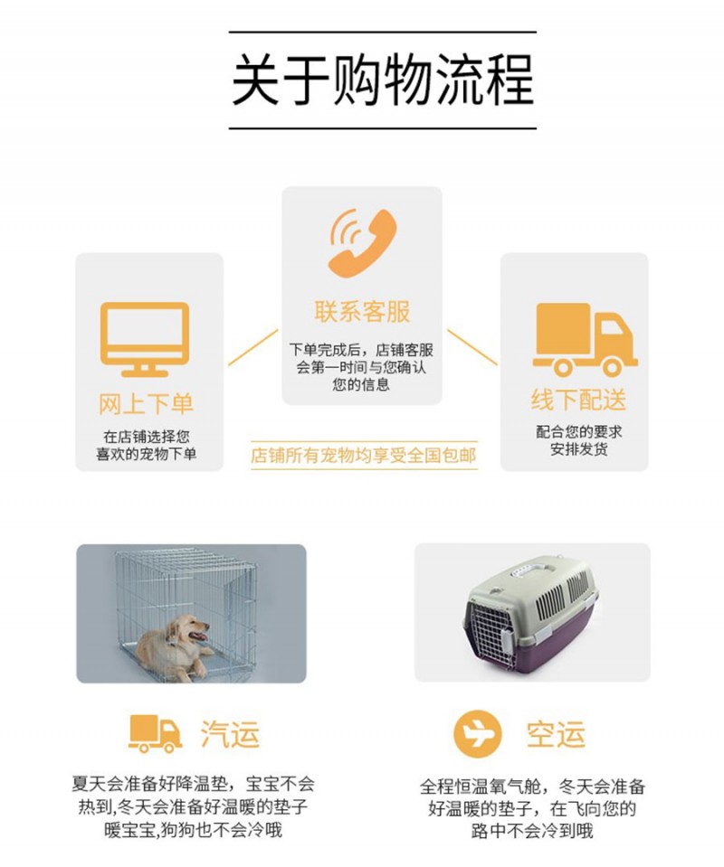 熱賣- 正規犬舍出售純種柯基犬幼犬尊享終身質保簽訂購犬協議