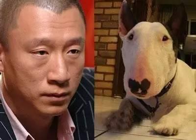 怎么會被和諧養？緣故有4個