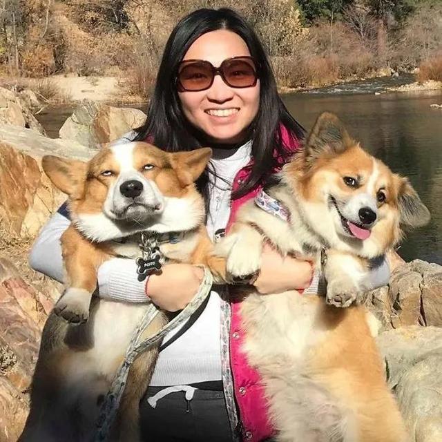 女生最說養的6種小狗，高顏值又聰慧，哪一個人要不動心？