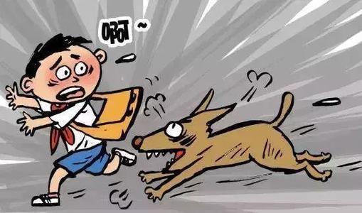 合乎下列5個特點的狗狗，不可以得罪，要不然咬你沒得商量