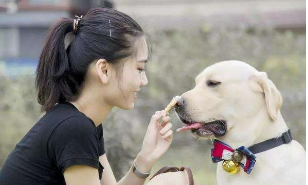 狗狗有這五個特性，也意味著主人有素質，期待家里常有！
