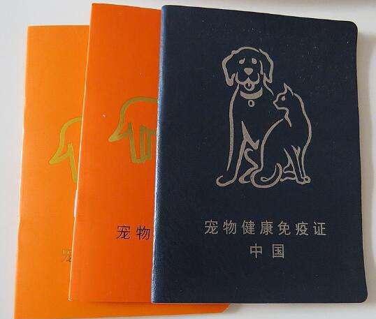必須為將要進家的狗狗購置些什么