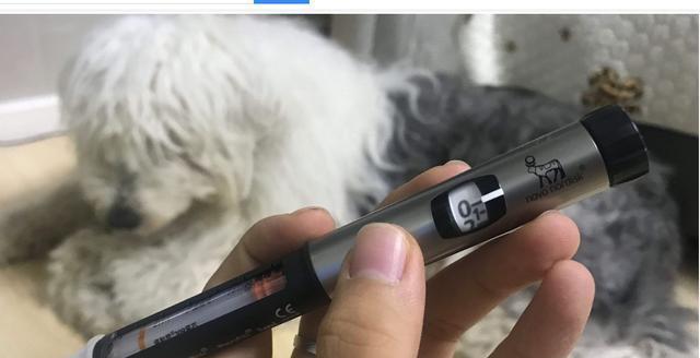 狗狗最非常容易得的病，這幾個常用招式教你輕輕松松預防，做下“寵物醫生”！