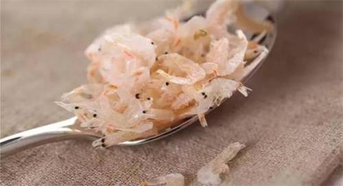 養寵物小常識- 狗腿瘸了還叫個不停,狗腿瘸了能好么