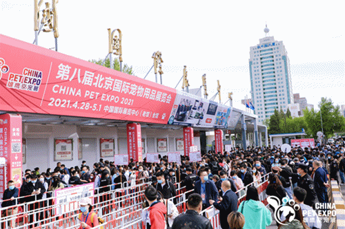 單日參觀人次超3.5萬人，火爆京城的第八屆雄鷹京寵展盛大開幕！