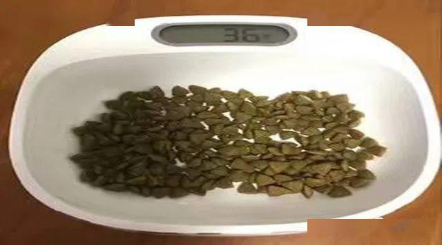 八年養寵物工作經驗對你說，別給小狗買這種物品，壓根用不上