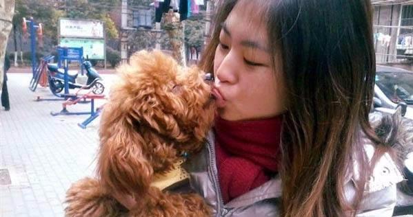 假如狗狗給你碰它這6樣東西，別猜疑，它早已深深愛上你了