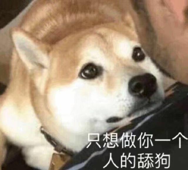 狗狗喜歡舔你，原先藏著很多“密秘”，對你有感覺僅僅在其中一個原因