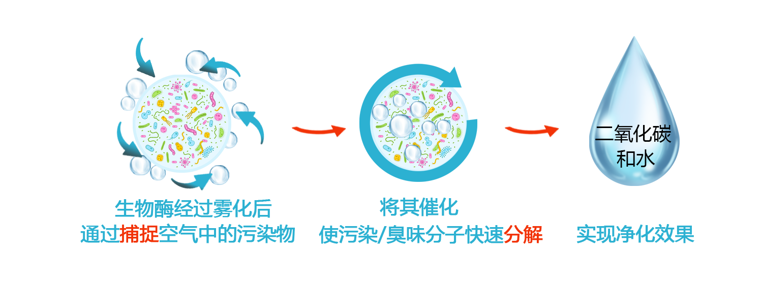 1624844250538014228.png