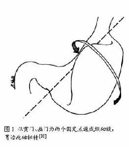 夏天遛貓遛狗補水保濕參照手冊，請諸位鏟屎官查閱