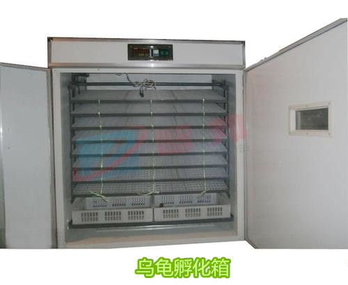 烏龜孵化箱