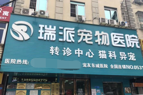 瑞派寵物醫院提示鏟屎官，人畜共患病不容小覷！