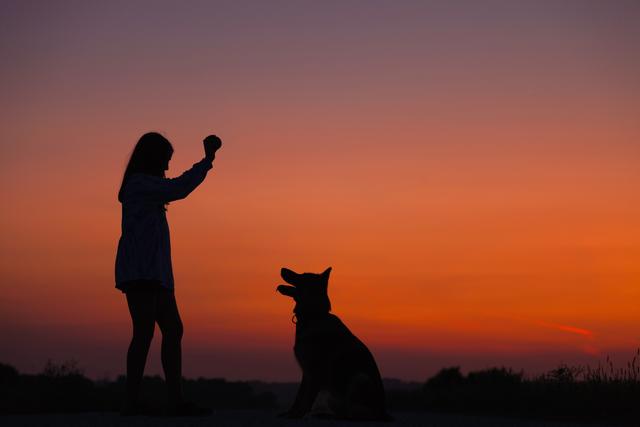 訓犬師：訓練小狗的第一步是啥，很多人都搞錯了