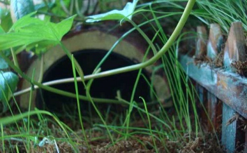 牧草收割