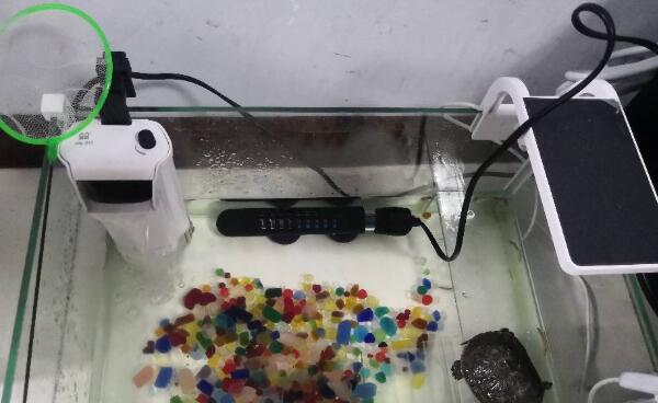 電加熱棒