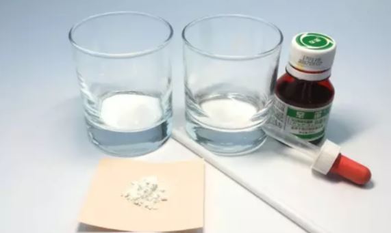 泰迪會裝瘸嗎