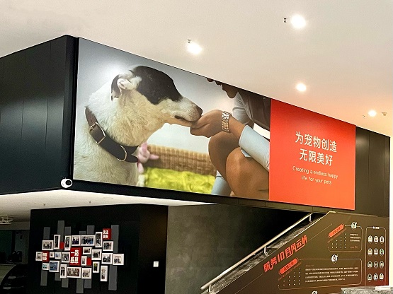 挖潛萌寵市場，易寵科技全渠道布局三千億“它經濟”