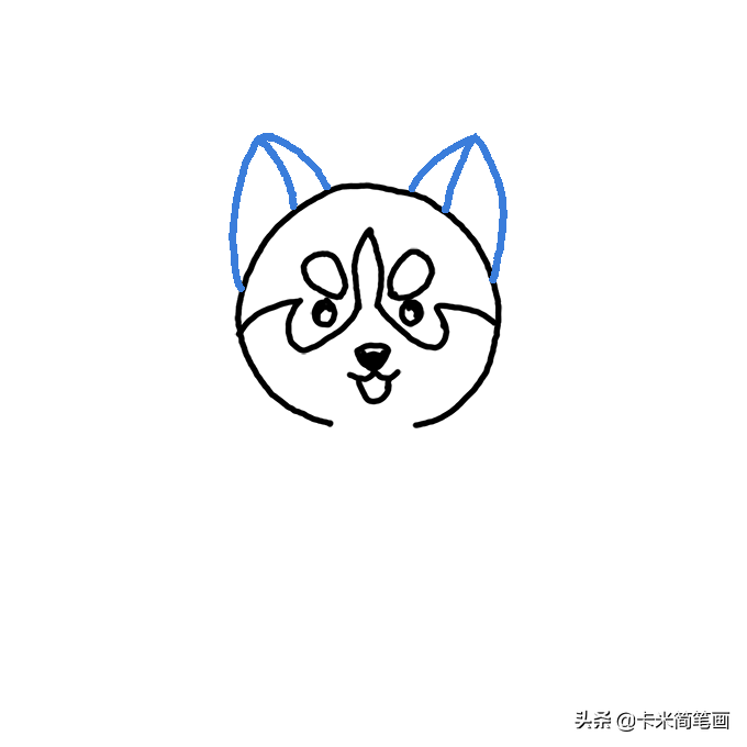 哈士奇的簡易畫法 - Q版哈士奇簡筆畫教程